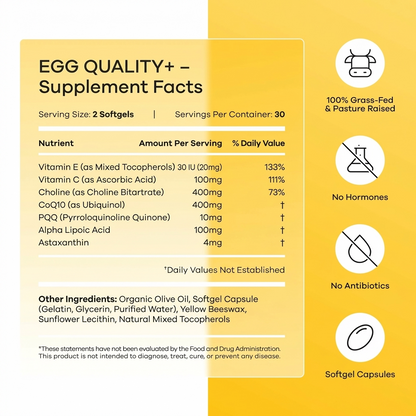 The 90-Day Fertility Protocol Your Prenatal Is Missing