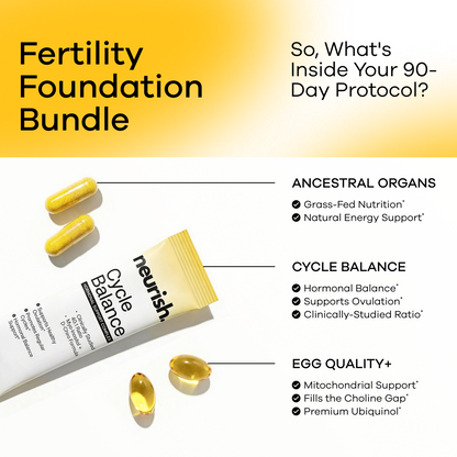 Complete Conception Support with the 90-Day Fertility Protocol