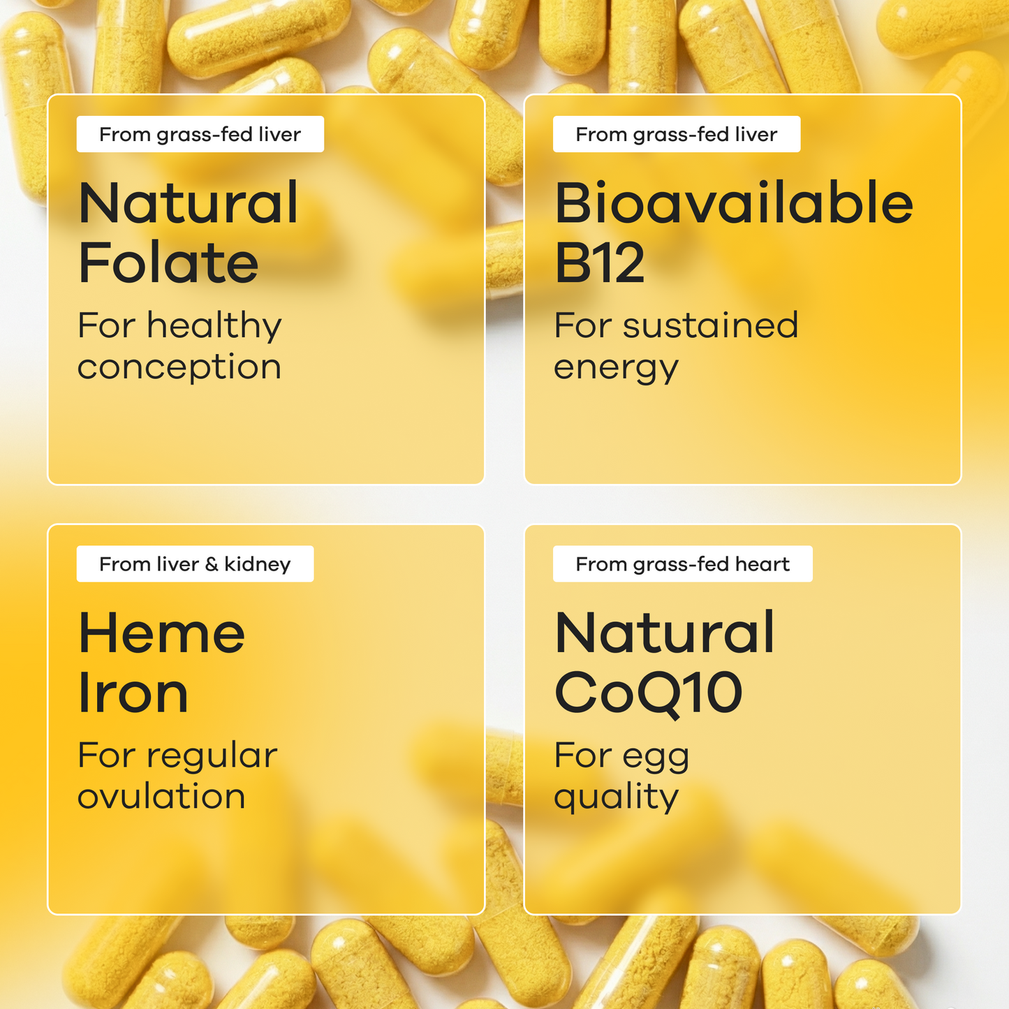 The Fertility Foundation Your Prenatal Is Missing